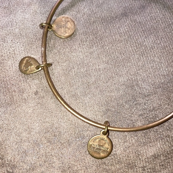 Alex and Ani Hummingbird Bird Gold Charm Bracelet adjustable Bangle boho glam - Picture 3 of 5